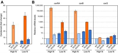 Relation between CarS expression and activation of carotenogenesis by stress in Fusarium fujikuroi